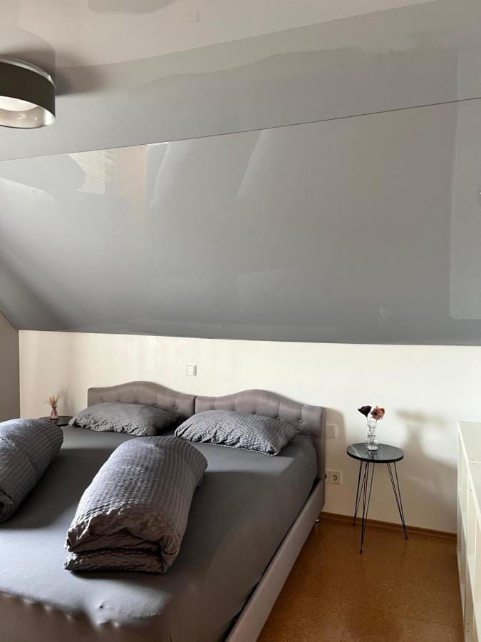 Lifestyle Apartment Sinsheim Eksteriør bilde