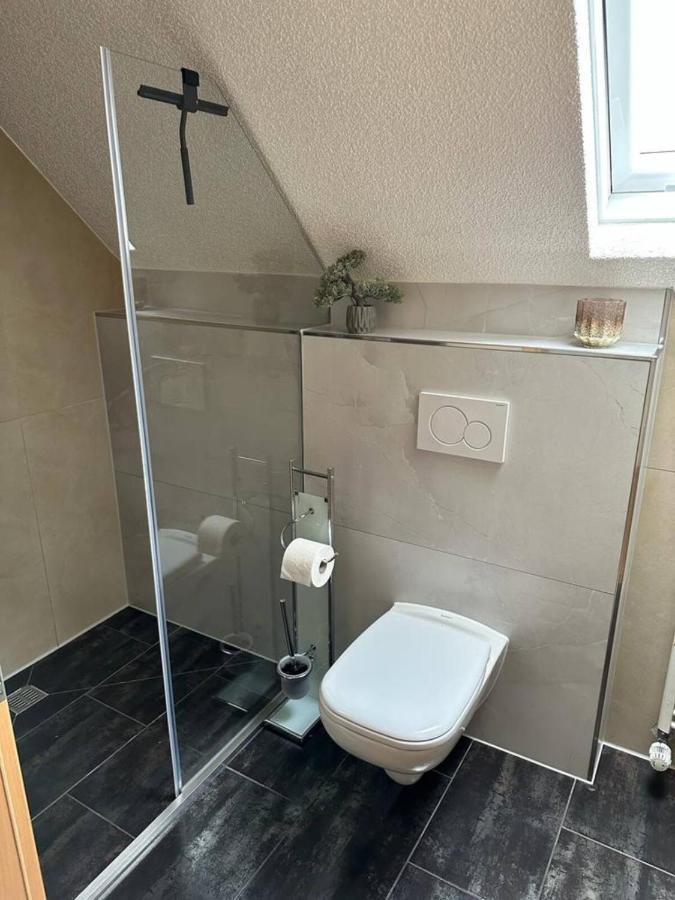 Lifestyle Apartment Sinsheim Eksteriør bilde